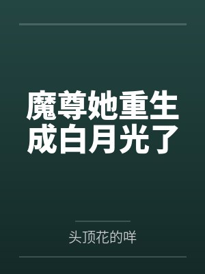 美华航空公司之空姐的服务